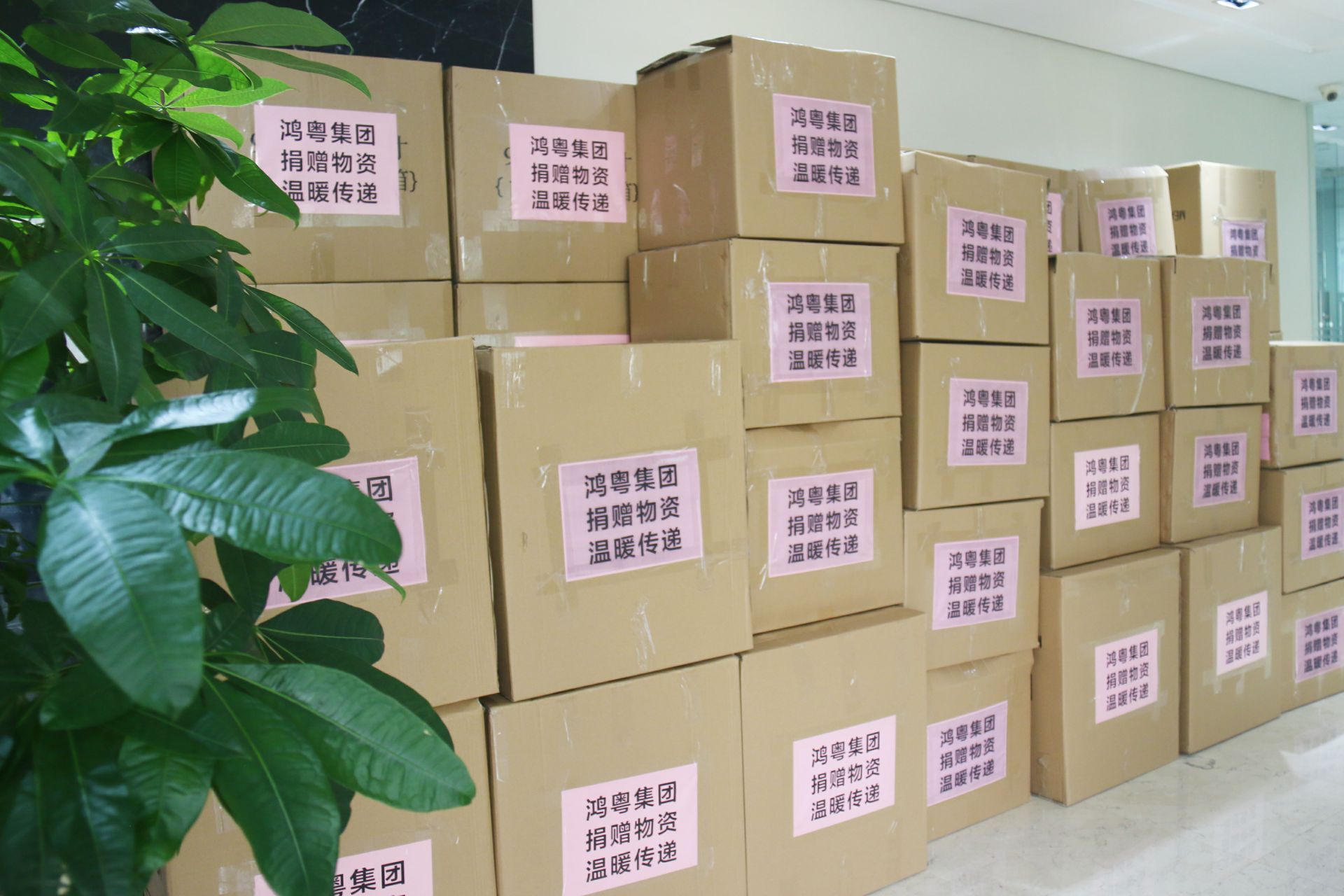 九游网页版网站入口-九游(中国)公益回顾丨家国同欢月同圆 温暖满载甘孜州(图1)